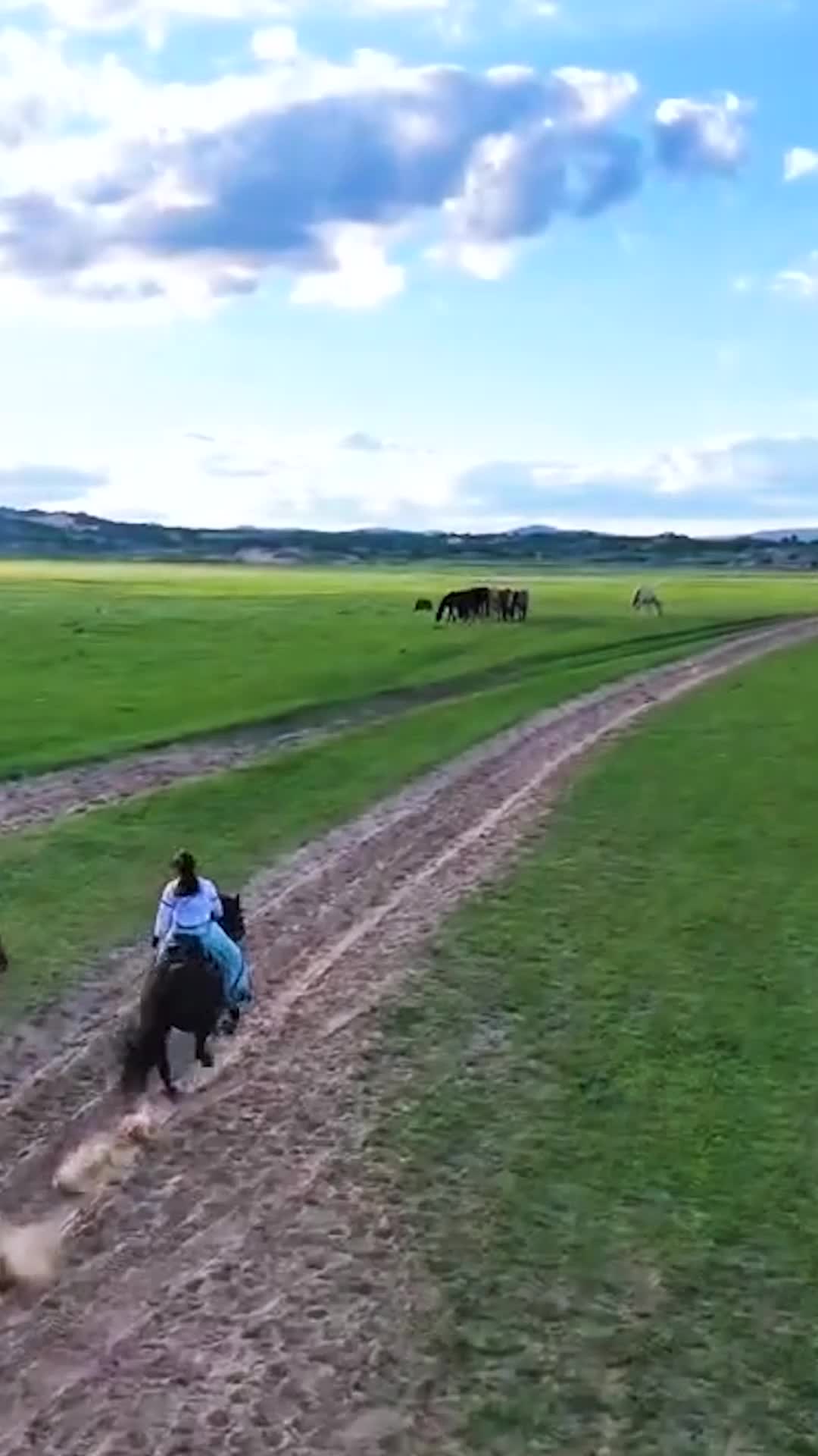 Episodio 68 - Déjame cruzar la línea